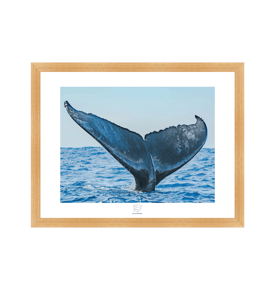 Natural Frame Fine art print Front